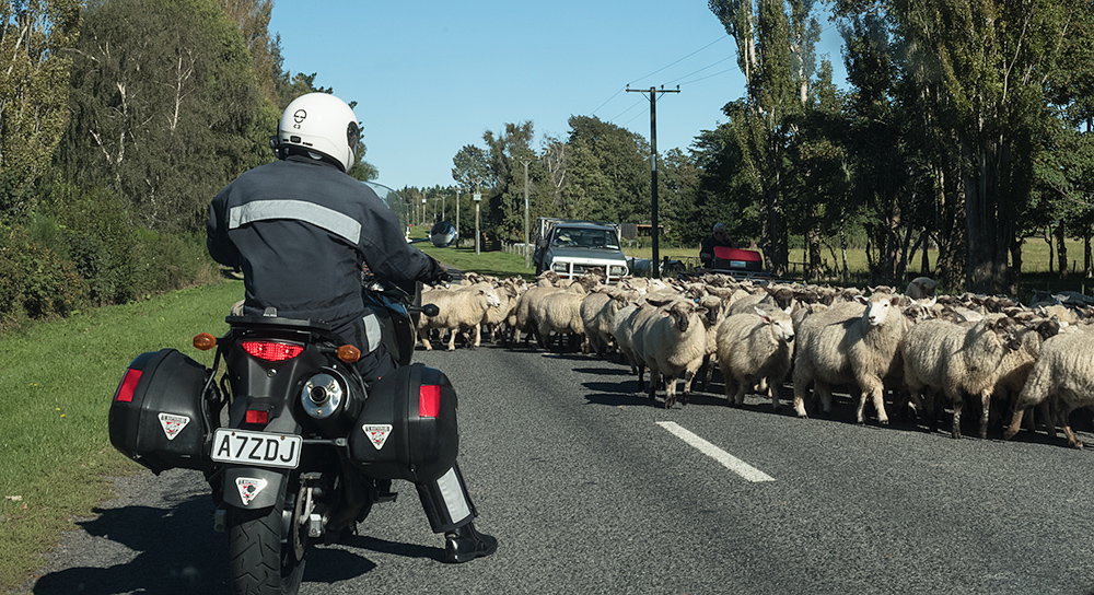 Rush hour traffic in New Zealand