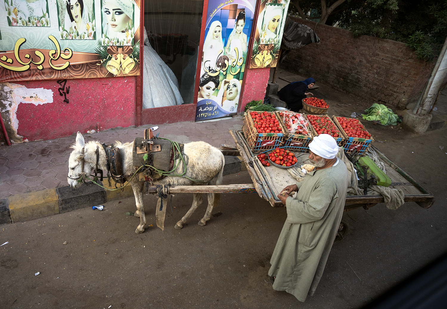 Cart vendor